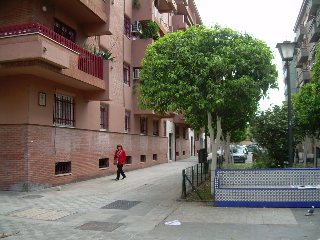 Vista de la calle