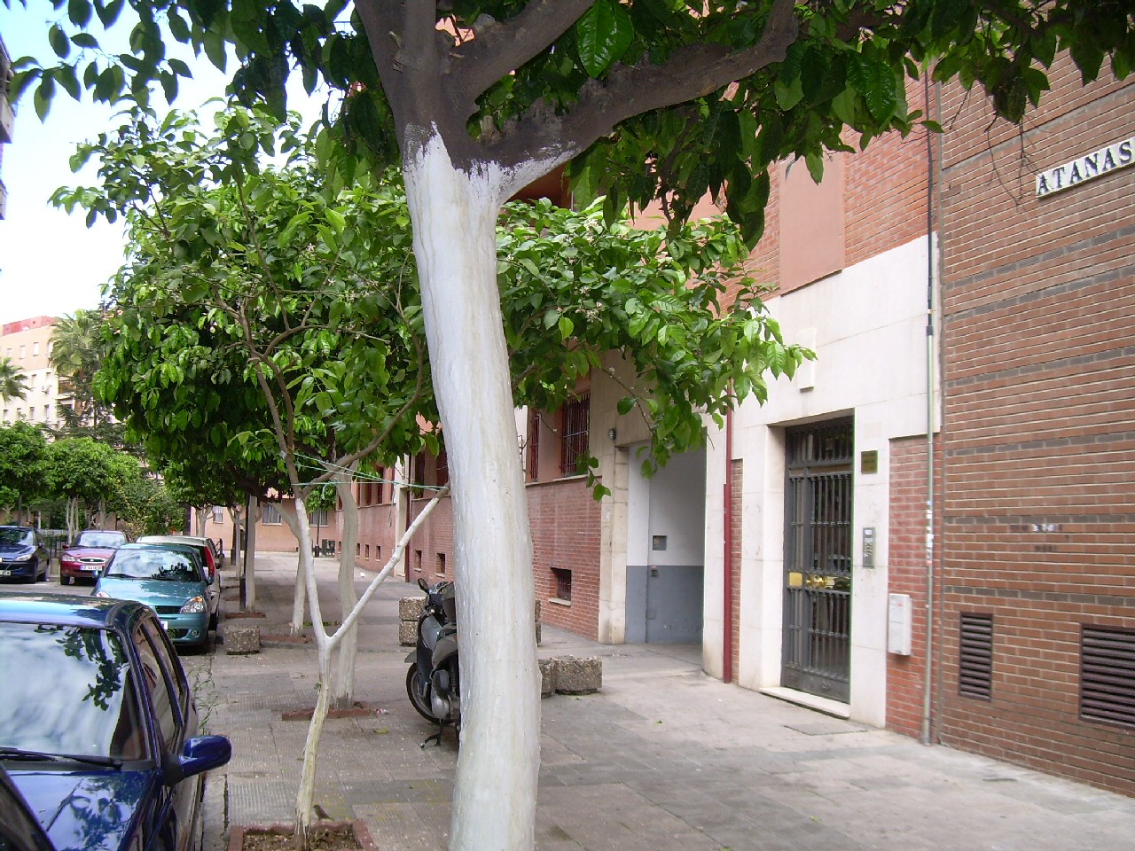 Vista de la Calle